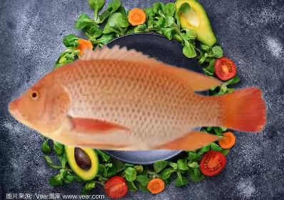 紅羅非魚(yú)一去